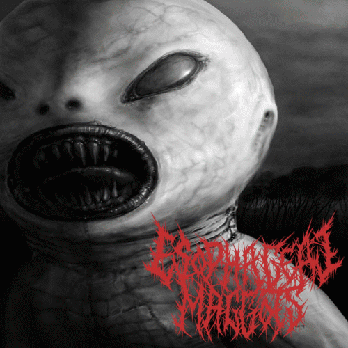 Esophageal Maggots : Undead Harlequin Fetus Esophageal Maggots : Undead Harlequin Fetus